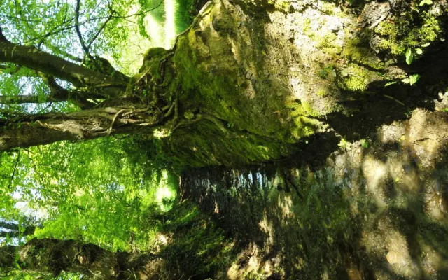 Chambre d'hotes Au Vieux Moulin