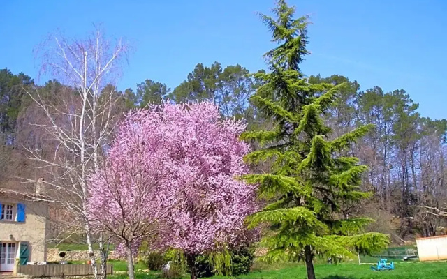 Domaine De La Provenç'âne Le Pigeonnier