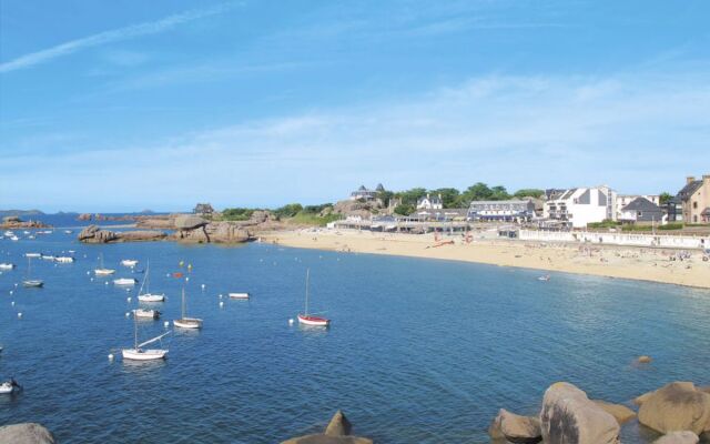 Les Cormorans (TGP101)