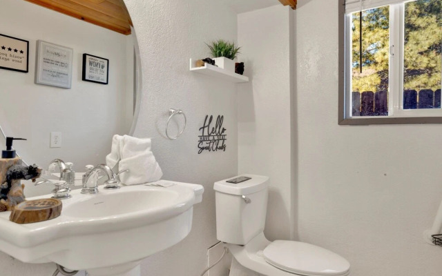 JAY Bird Landing Escape #2308