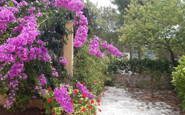 Deni - 70m From Beach - A1