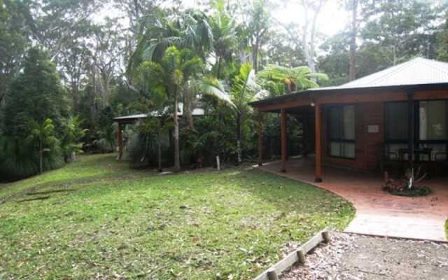 SWR Rainforest Retreat 2