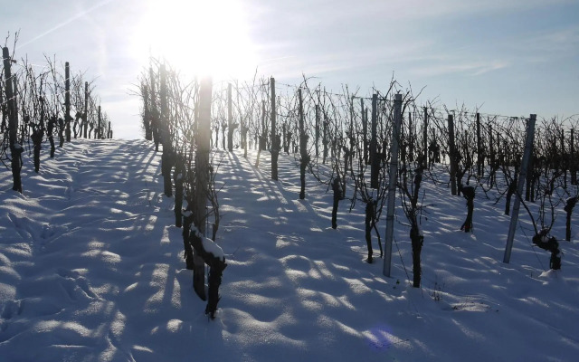 Stilvolle FeWo *Rebland* Balkon-Netflix-Parking