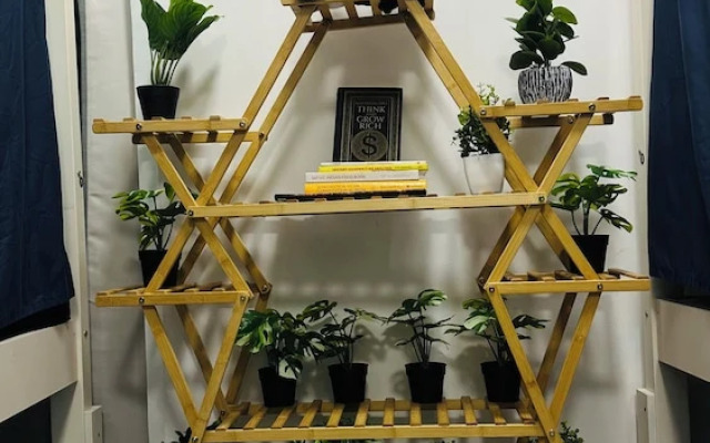 Urban Panda Hostel Tiger Marina