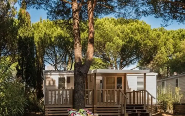 L'Ecolodge L'Etoile d'Argens