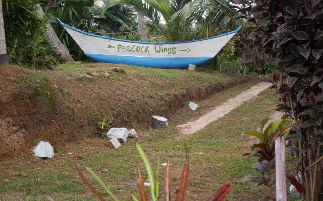 Peacock Wings Guest House