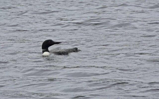 Poplar Creek Guesthouse Bed & Breakfast