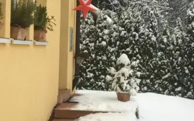 Schwarzwald Light