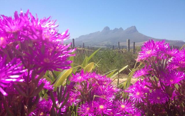 Acara Guest Cottages