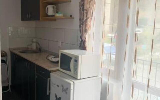 Vila Ammos Apartments Busteni