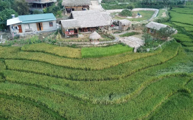 Golden Rice Garden Sapa