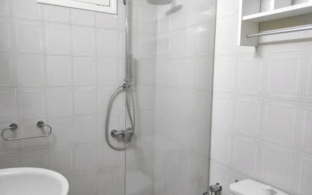 "comfort Shell Near the Beach"