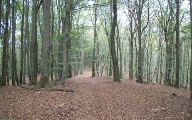 FILD - Holiday Apartment