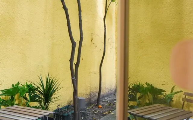 Dado's Apartment