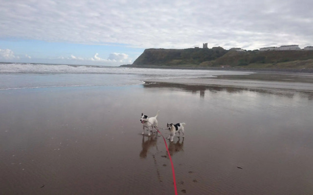 The Beaches