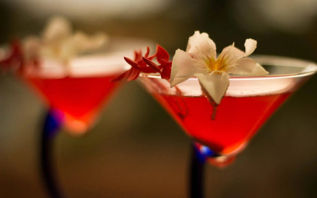 Suites & Hotel Punta Esmeralda