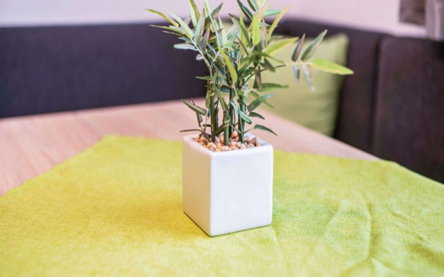Welcoming Apartment in Patergassen With Free Wifi