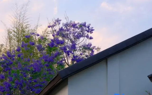 Menghai Meng Bala Jingmo Landscape Hot Spring Homestay – Exterior – Xishuangbanna