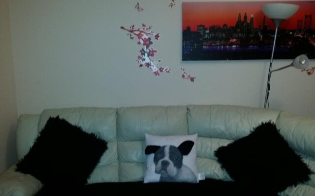 Tony Asga - Jasmine Apartment