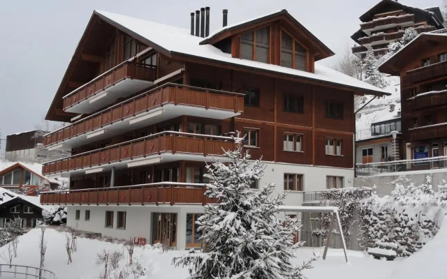 Chalet Bella Vista 3
