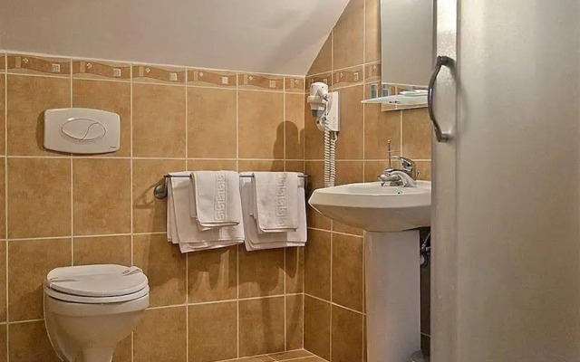 Hotel Hanul Domnesc
