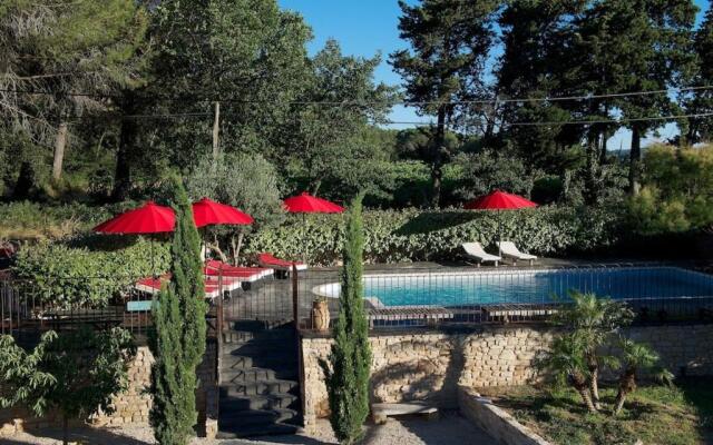 Pépite au milieu des vignes