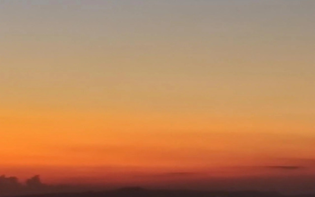 Palm garden paradise