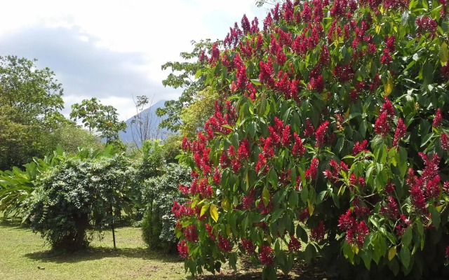 Hotel Tangara Arenal