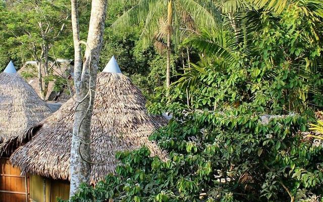 Cumaceba Amazon Lodge