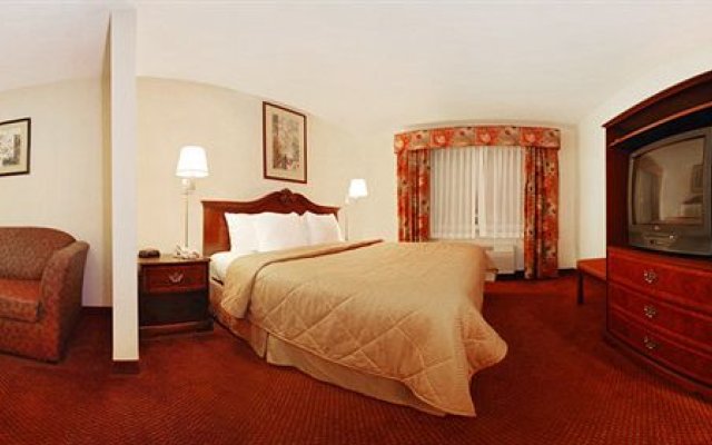 Comfort Inn & Suites Ludlow