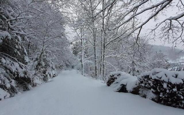 Nordiques De La Welche