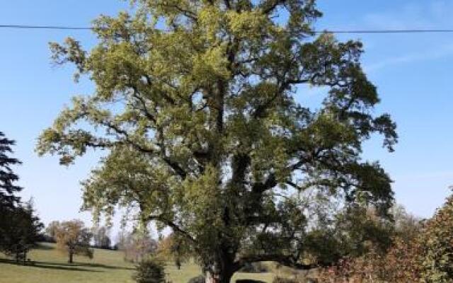 Proche Puy du Fou - Roches Blanches