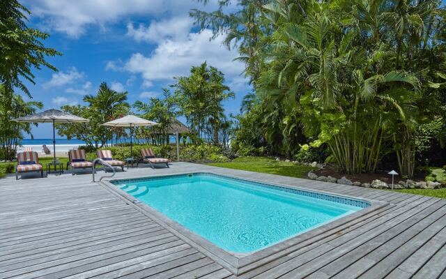 High Trees Blue Sky Luxury