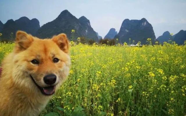 Yangshuo Kele Inn (Yangshuo Lijiang Scenic Area Branch)
