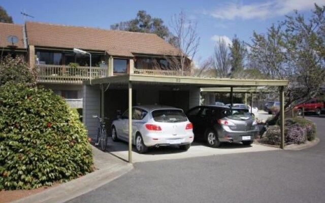 Lyneham Pines