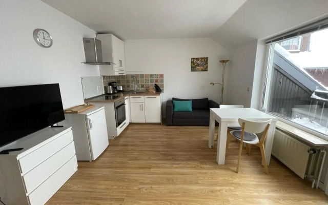 Gemütliche Ferienwohnung Harz Braunlage Hohegeiß