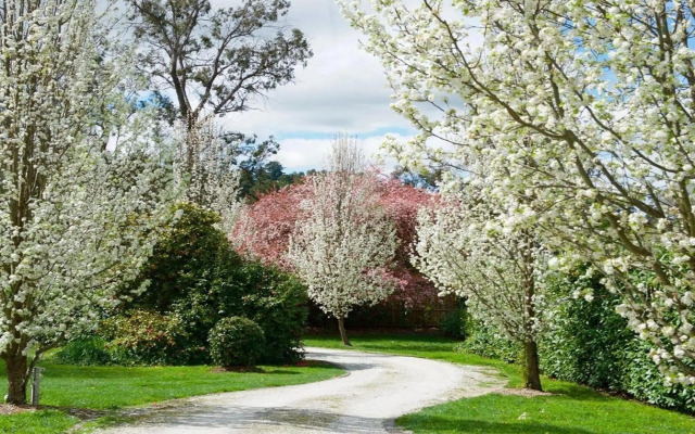 Robin Hill Manor - rambling retreat & tennis court