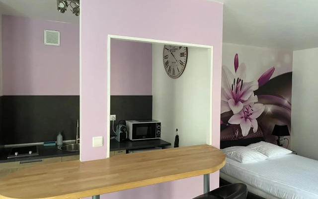 Appart du cirque centre historique