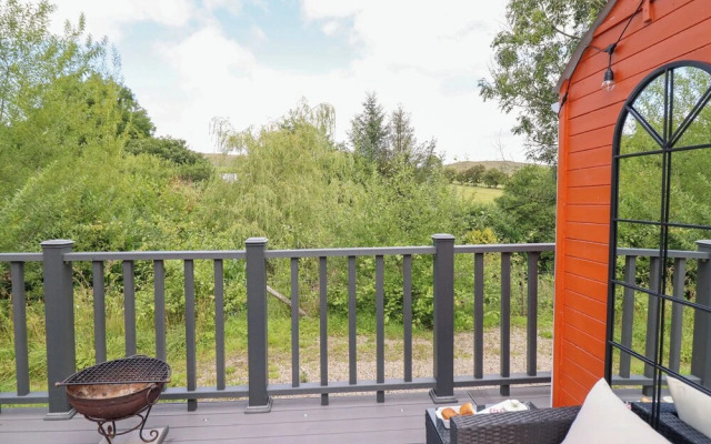 Red Kite at Wild Valley Huts