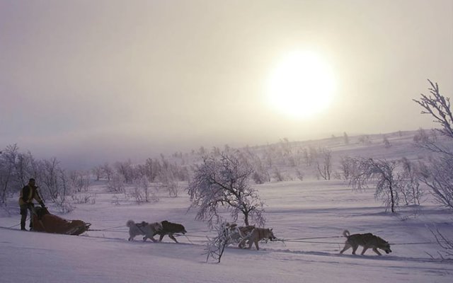 Gargia Lodge