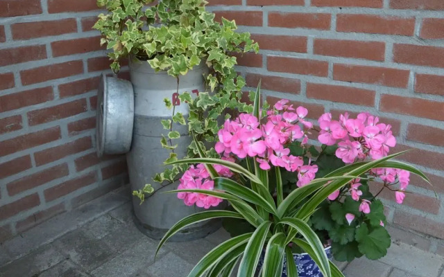 Quaint Holiday Home in Valkenswaard on a Farm