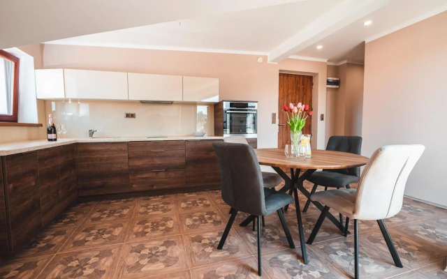 POINT flat, beautiful view from terrace to Prague Castle