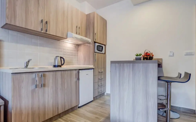 Apartment Lux