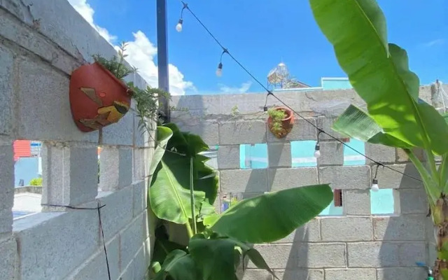 Sea-breeze homestay