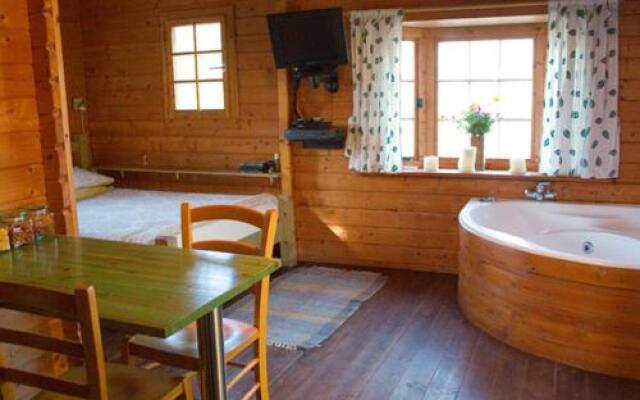 Cabin 81