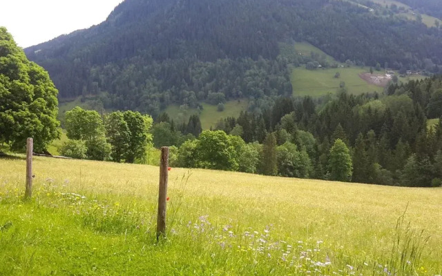 Cozy Holiday Apartment With Sauna in Schladming