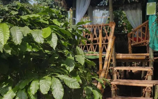 Riyavar Luxury Homestay