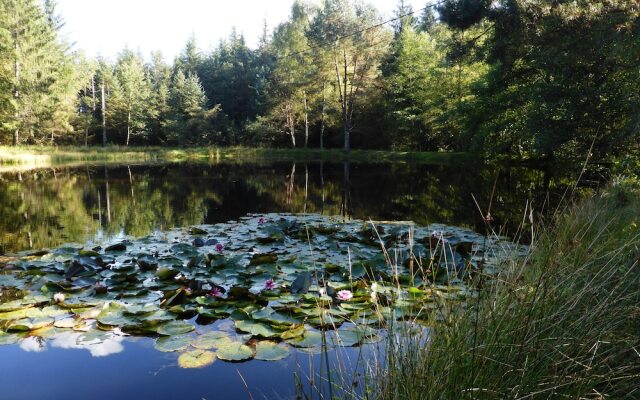 Auberge de la Cholotte