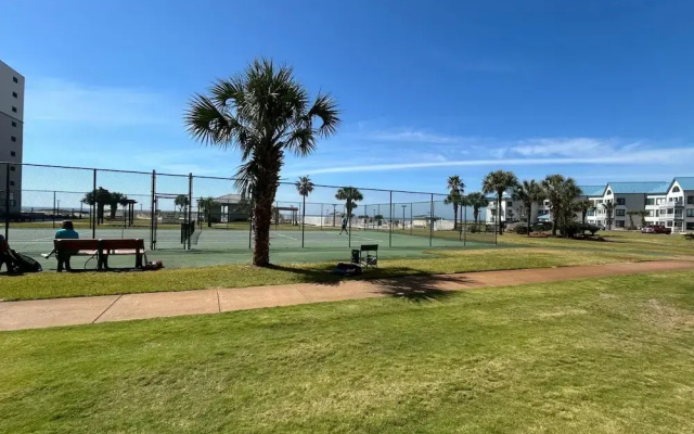 Plantation Palms 6103