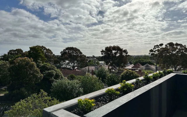 Samma  Linden